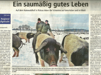 Bericht in der Elbe-Jeetzel-Zeitung 26.01.2017