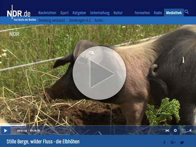 Bericht bei NaturNah im NDR-Fernsehen
